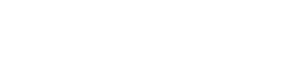 OrionOS
